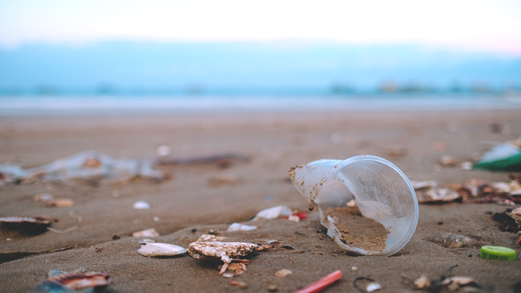 Closeup image of broken trash lying on the wet sand of a beach