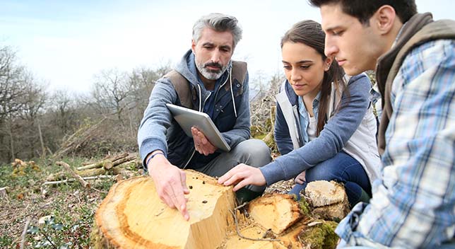 Two students and a teacher examine a tree stump in a field of recently felled trees