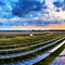 Sunrise over a field of solar panels