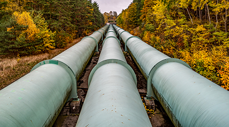 Three aboveground pipelines running parallel to each other through an autumnal forest 