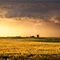 A field covered in golden light from a sunset and dark storm clouds rolling in from the right