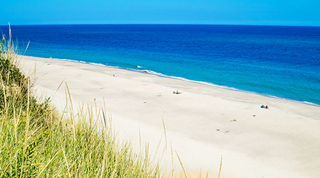 A bright sunny day on a beach in Cape Cod, Massachusetts with white sand, blue water and skies, and tall green grass on the sand banks