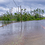 A broad highway lined with dense green trees and brush, heavily flooded with rippling dark floodwater under a stormy sky