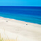 A bright sunny day on a beach in Cape Cod, Massachusetts with white sand, blue water and skies, and tall green grass on the sand banks