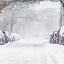 A snowbound city street lined with snow-buried cars under a heavily snowing sky