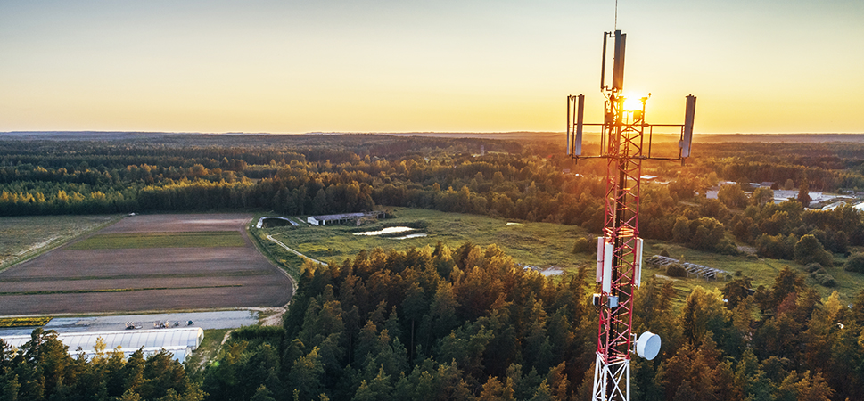 A photo of a red and white striped cellular base station towering above a heavily wooded suburb with fields and trees in green and red under a pale blue and yellow sunset sky