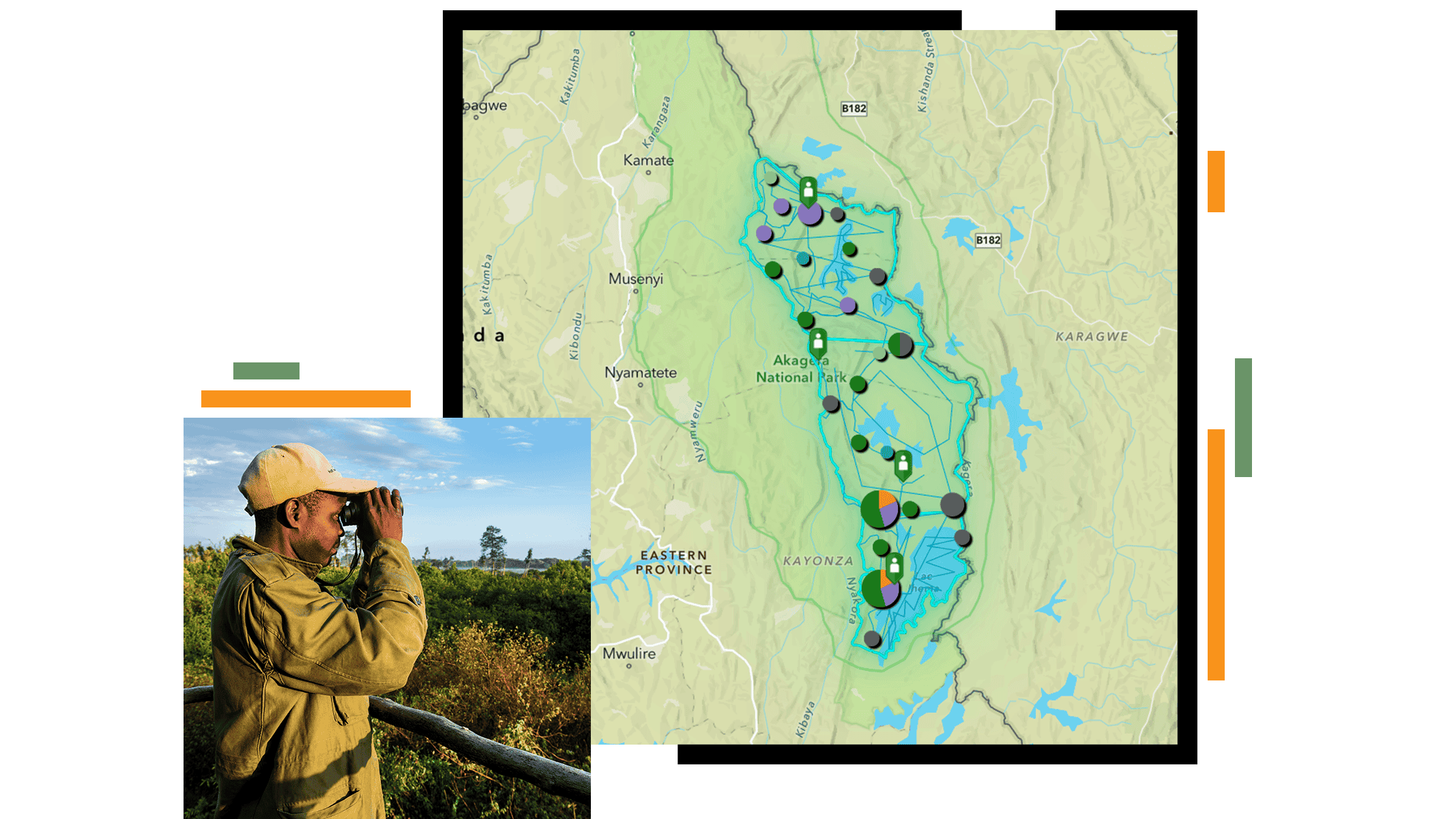 Map of a protected area with data points alongside a person using binoculars in a natural landscape
