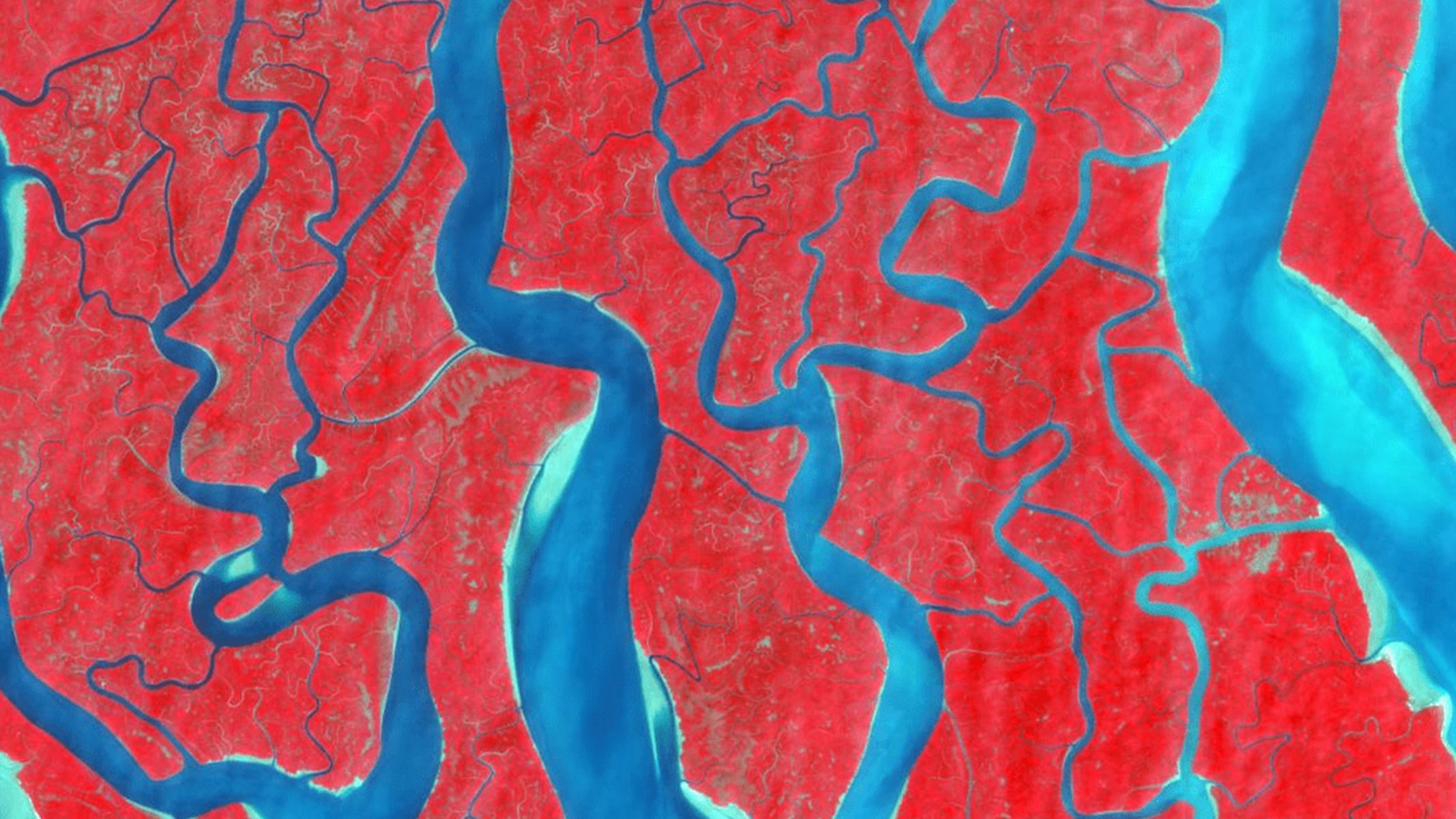 A false-color satellite image with winding rivers and branching waterways highlighted in blue