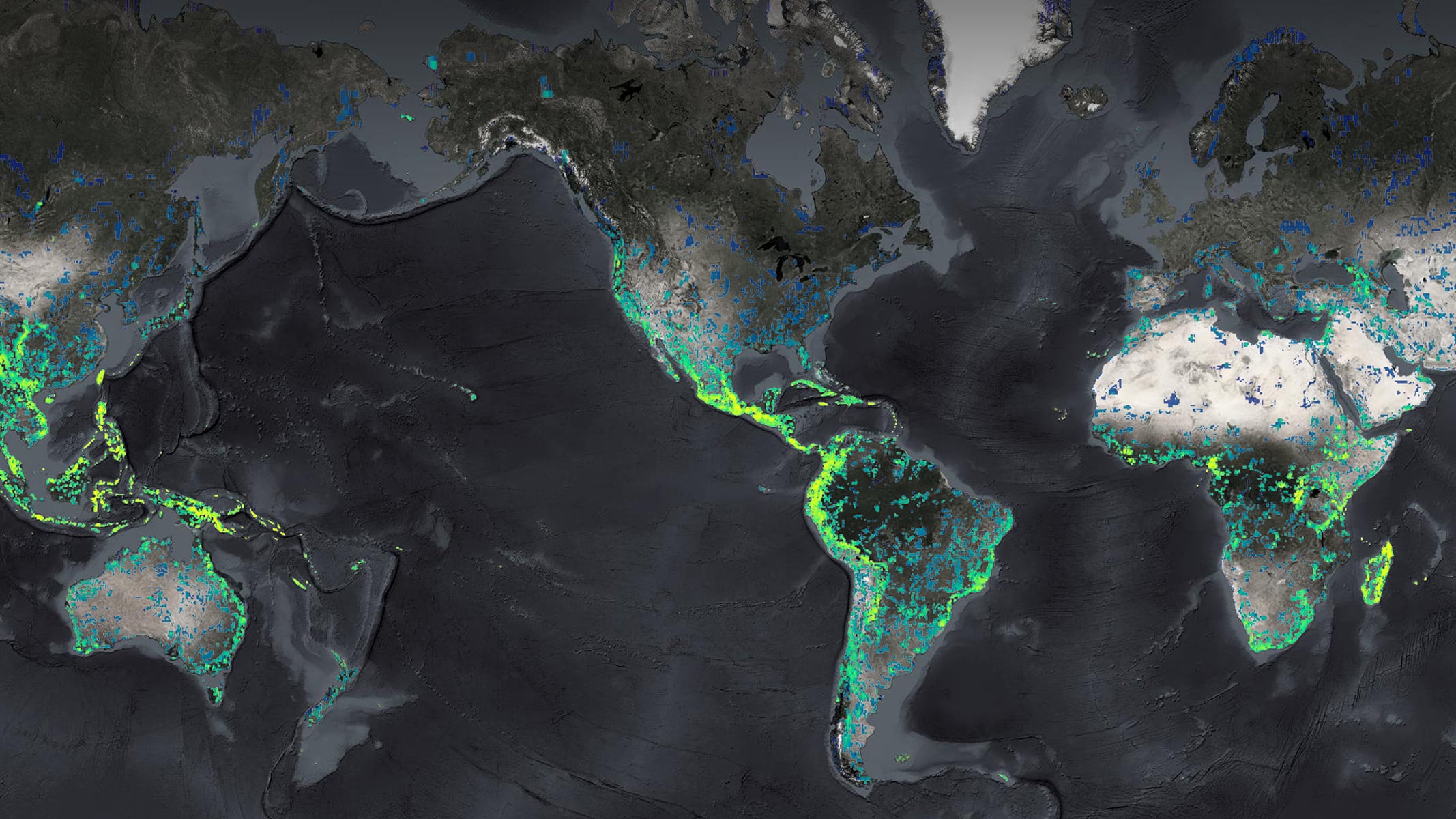 A global map showing environmental and geographic patterns across oceans and continents