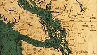 Beige and green map of the Puget Sound