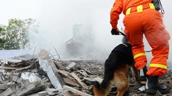A search and rescue worker and their K9 walking through dust, dirt, and building rubble