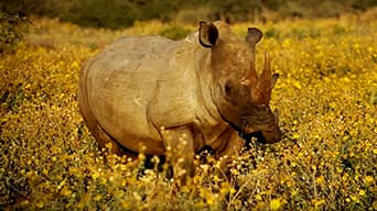 Garamba National Park