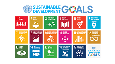 An infographic titled “Sustainable Development Goals” that lists and describes the 17 goals with icons enclosed in different colored squares