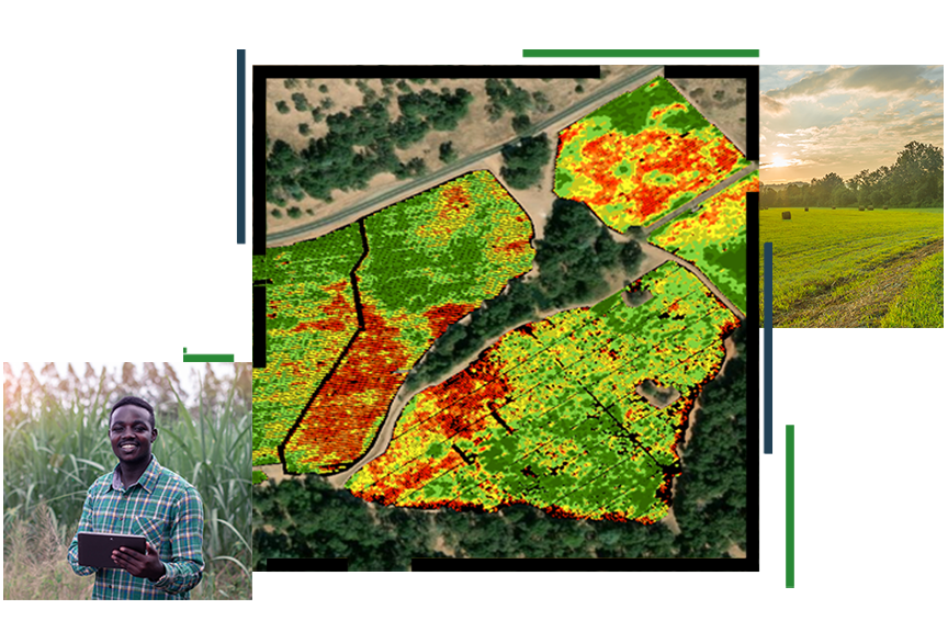 A map of agricultural land highlighted green, yellow, and red; a green field of vegetation; and a mobile worker smiling while holding a tablet