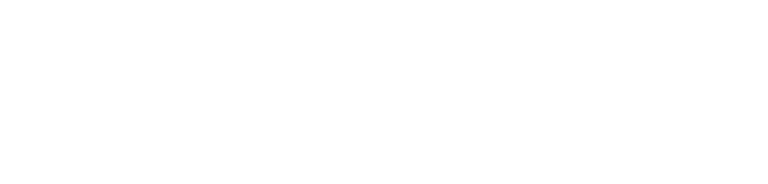SAS logo in white design  Accessibility