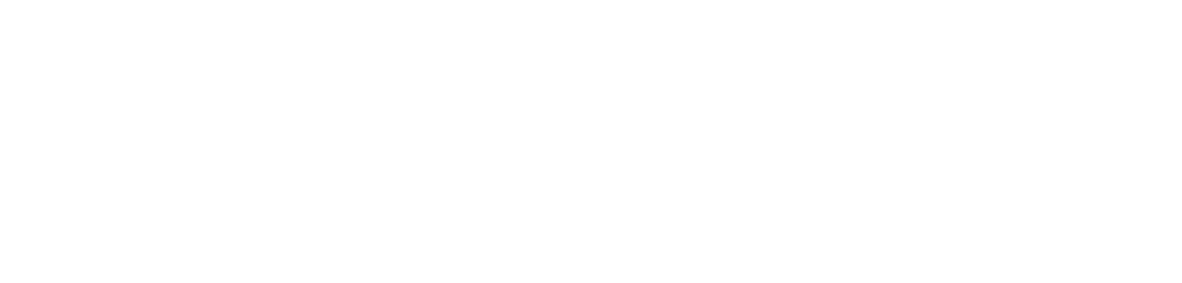Waev Inc. logo in white design