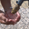 Hands cupping water under a hose spout