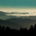 Rolling hills covered with Evergreen trees and partly obscured by clouds