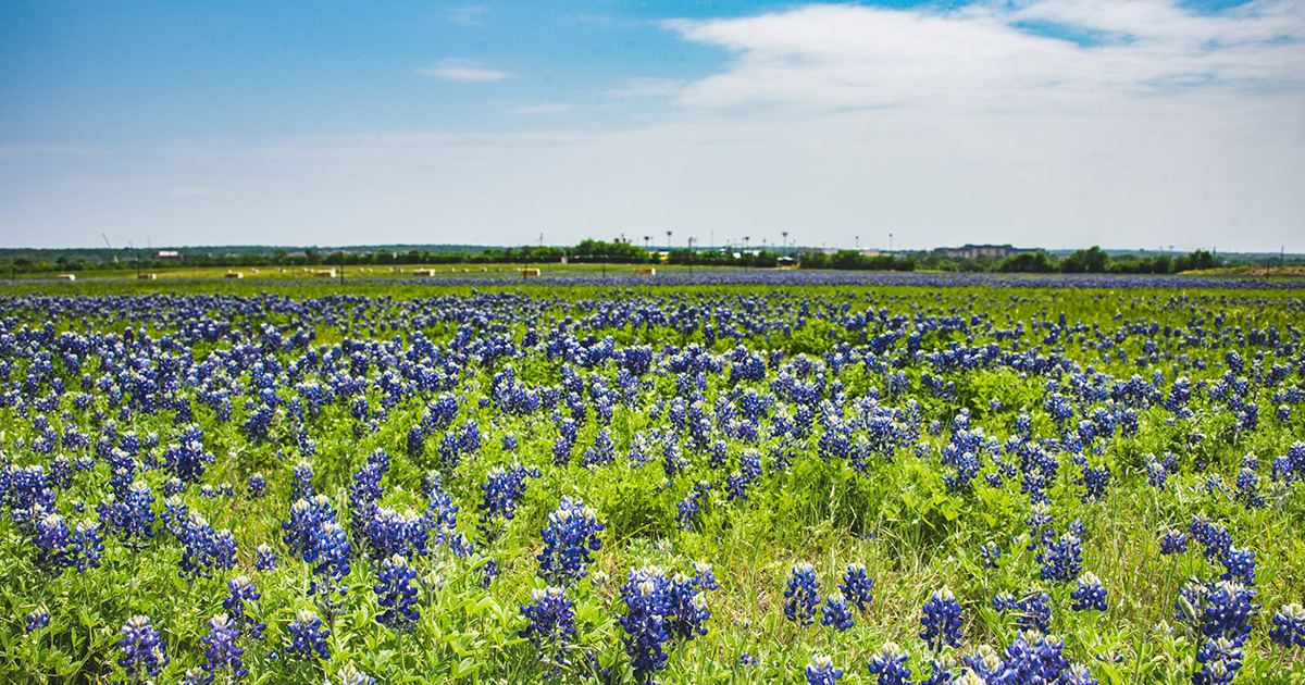 City of Round Rock Case Study