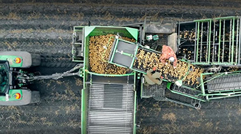A top-down view of workers using machines in the fields to harvest crops