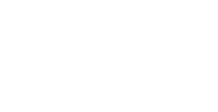 DIR logo image