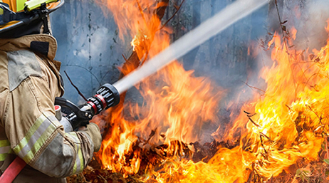 A firefighter putting out forest flames