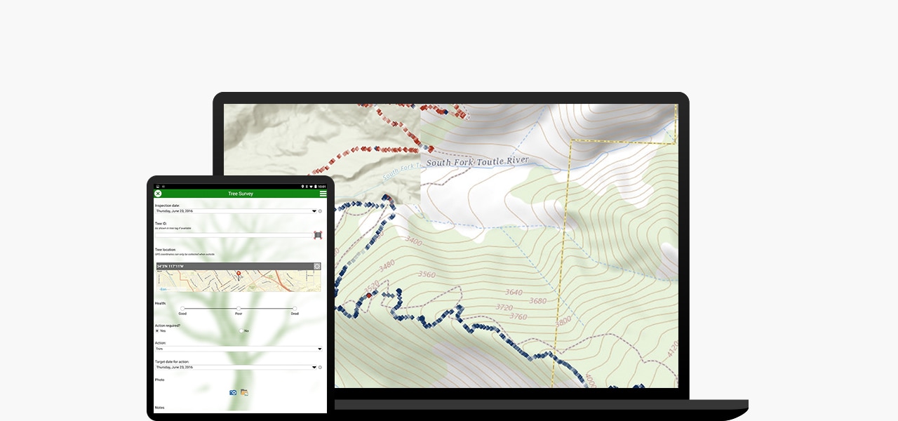 ArcGIS for Personal Use offers the full capability of the ArcGIS platform, allowing you to create maps and analyze data.