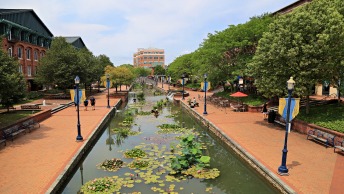 The riverwalk in downtown Frederick, Maryland, featuring green trees, red brick, and lily pads floating in the water