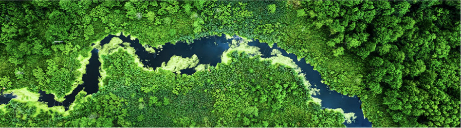 An aerial image of a tributary surrounded by lush green trees