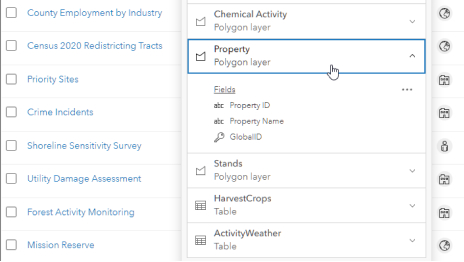An ArcGIS Online menu pane with a list of layer and table options