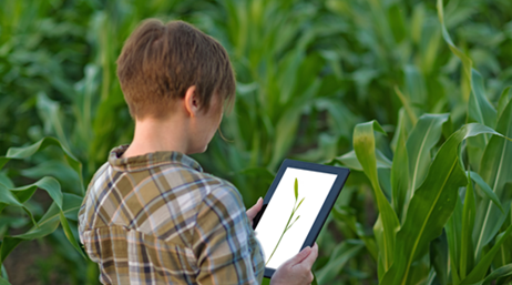 Eine Person, die ein kariertes Oberteil trägt und mit einem Tablet in der Hand in einem grünen Feld steht