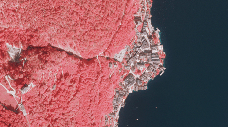 Uma imagem de sensoriamento remoto do infravermelho de uma área costeira de floresta sombreada em rosa com aglomerados de edifícios cinza no litoral 