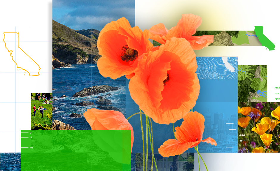 A collage with maps of various parts of California and scenes of nature featuring the state flower, a California poppy