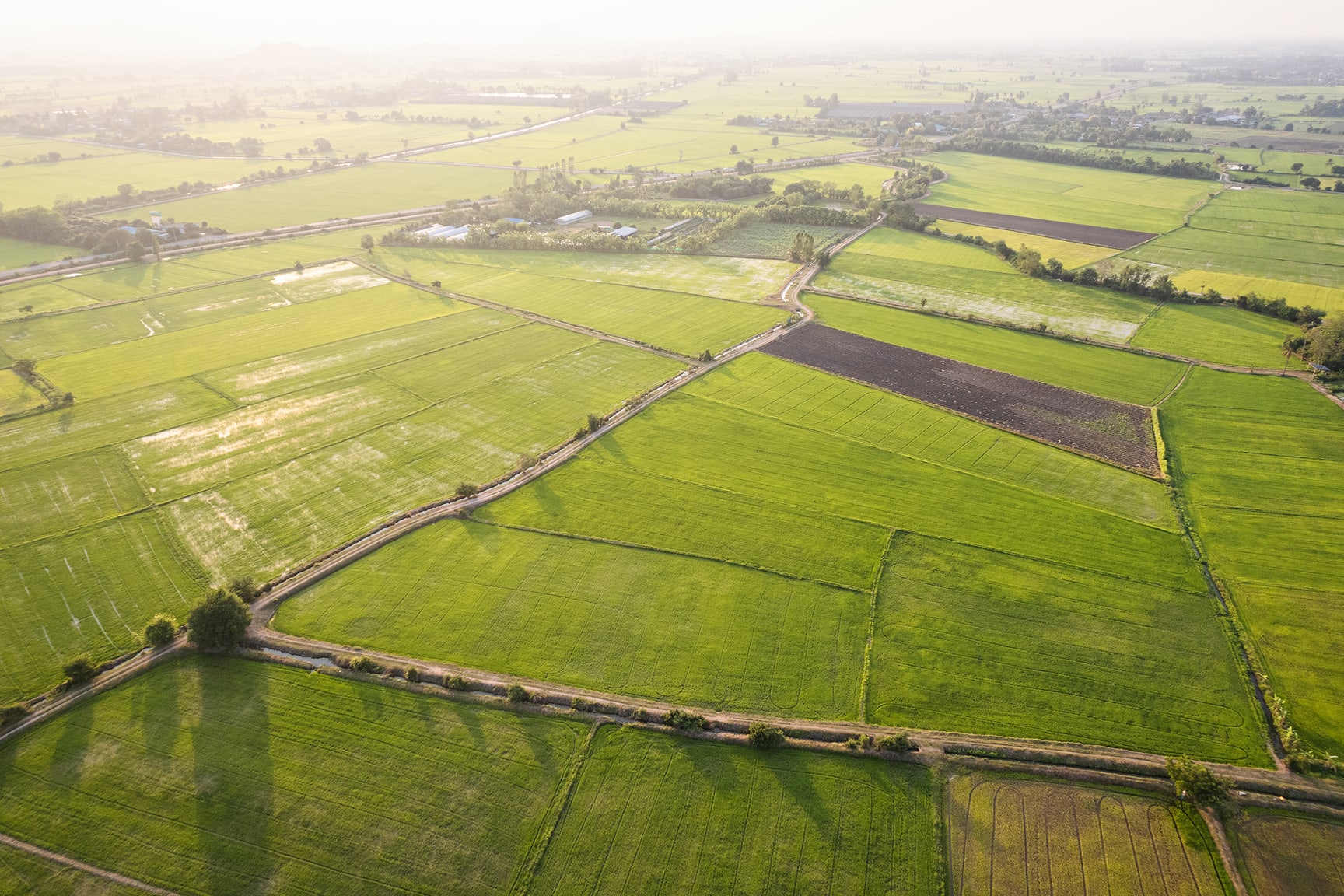 This image captures an expansive aerial view of cultivated farmland divided into geometric plots.
