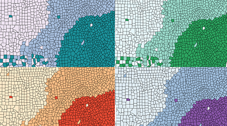 Quatre versions de la même zone cartographique, chacune affichant différentes combinaisons de couleurs : bleu, vert, orange et violet