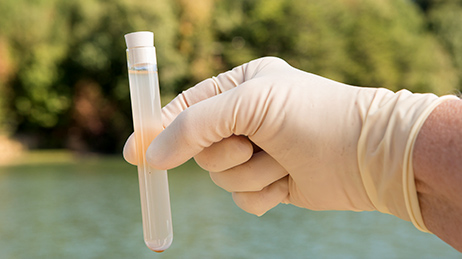 Closeup of a hand in a glove holding a vial near a river