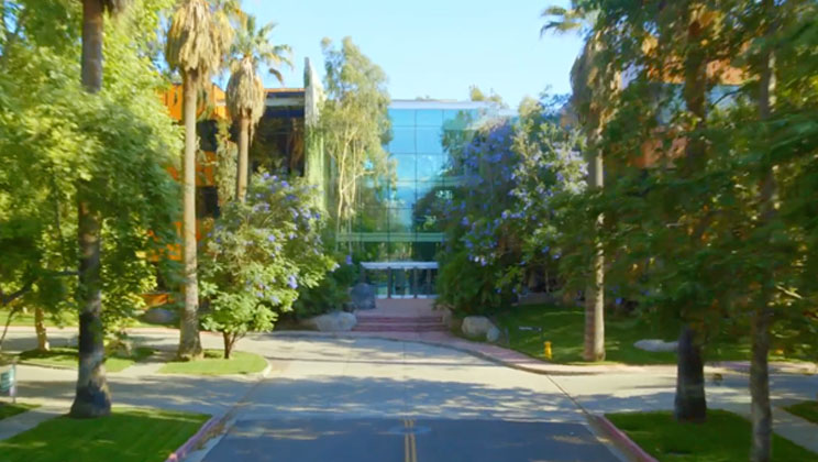 A tree-lined road that leads to the front entrance of the Esri headquarters