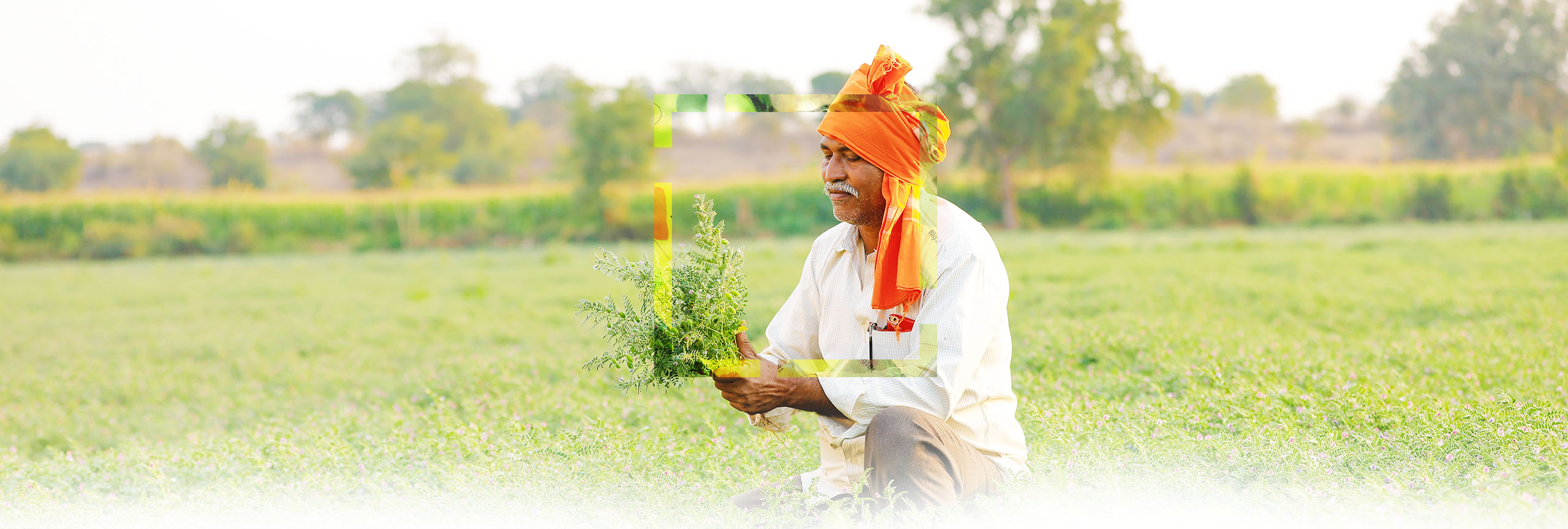 Precision Agriculture Technology For Sustainable Sustenance