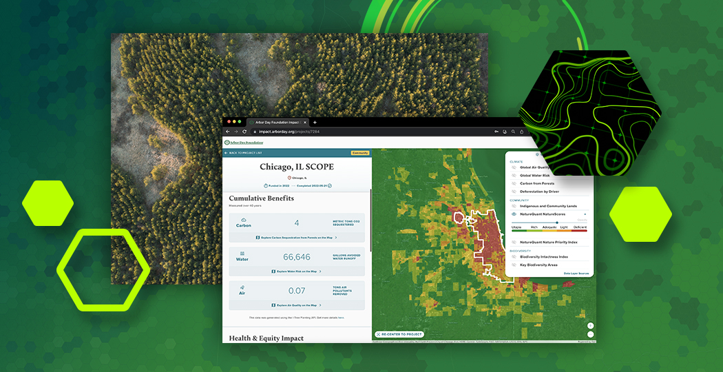 A collage with an aerial photo of a forest full of green sunlit treetops, a map dashboard with a green and red heat map and various data points, and several abstract green hexagons on a deeper green background