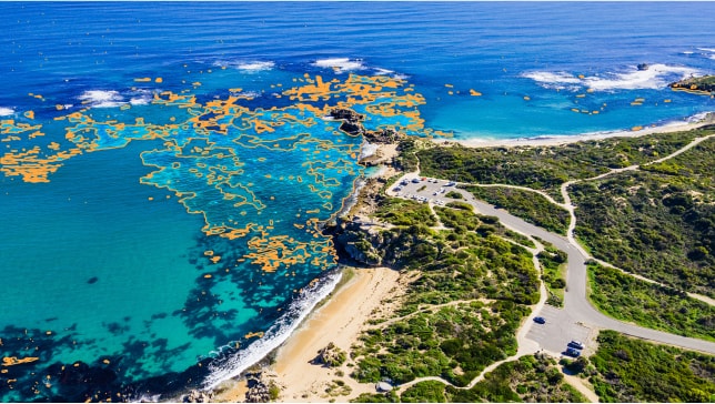 Agua de color azul intenso con reflejos anaranjados virtuales frente a la costa de una península cubierta de hierba