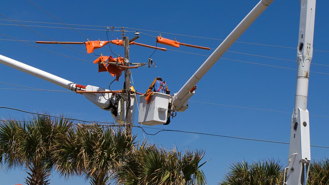 A utility worker is seen in a bucket lift repairing power lines under a clear blue sky. The setting includes palm trees in the foreground, suggesting a warm or tropical location.