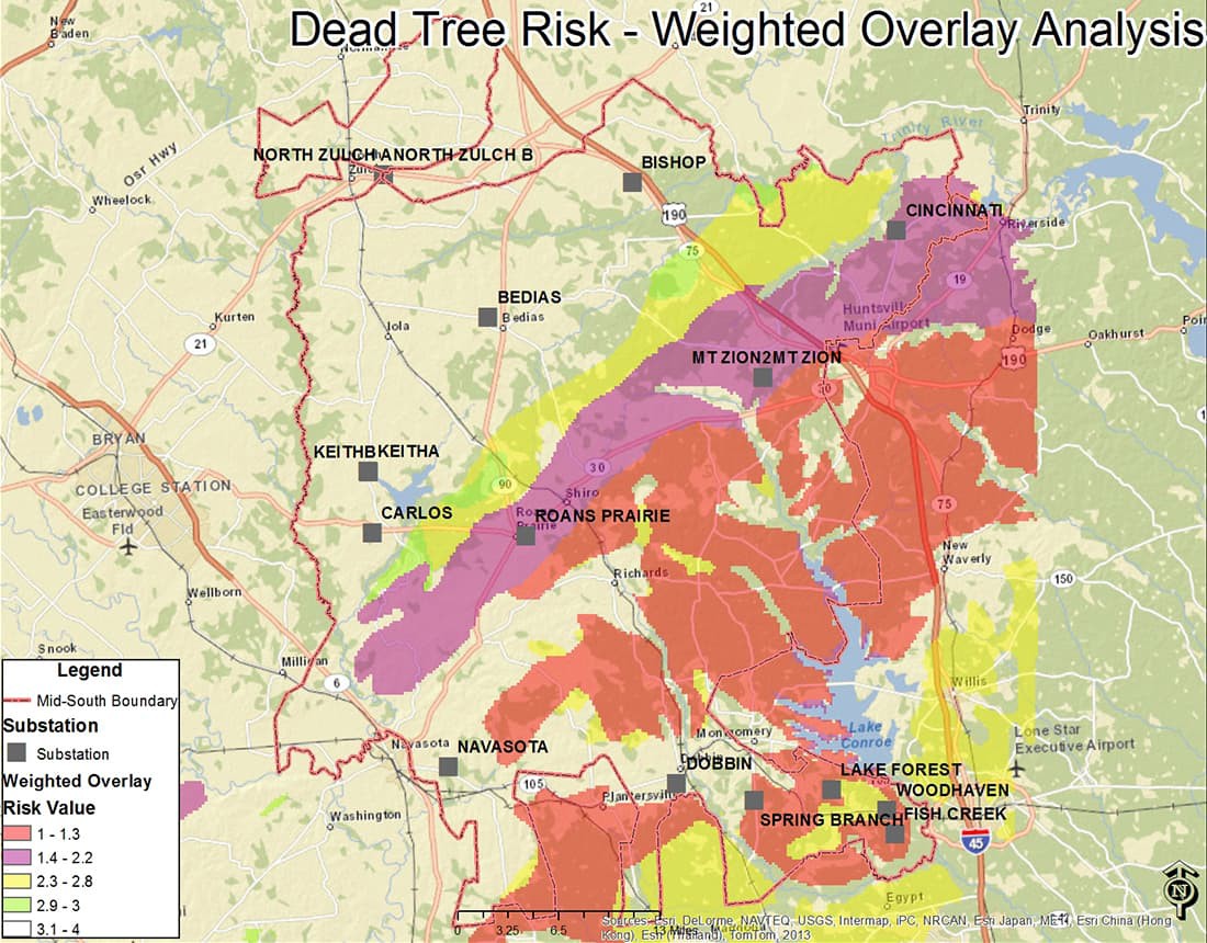 Overlay map depicting risk to dead trees
