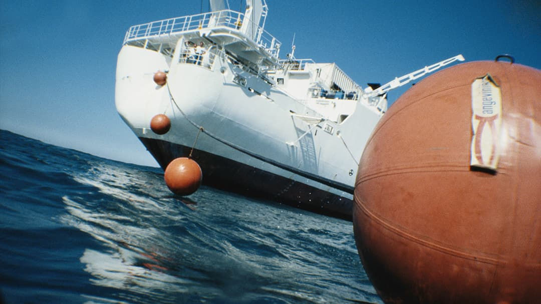 A white ship is seen floating on the ocean, with multiple orange buoys nearby. 