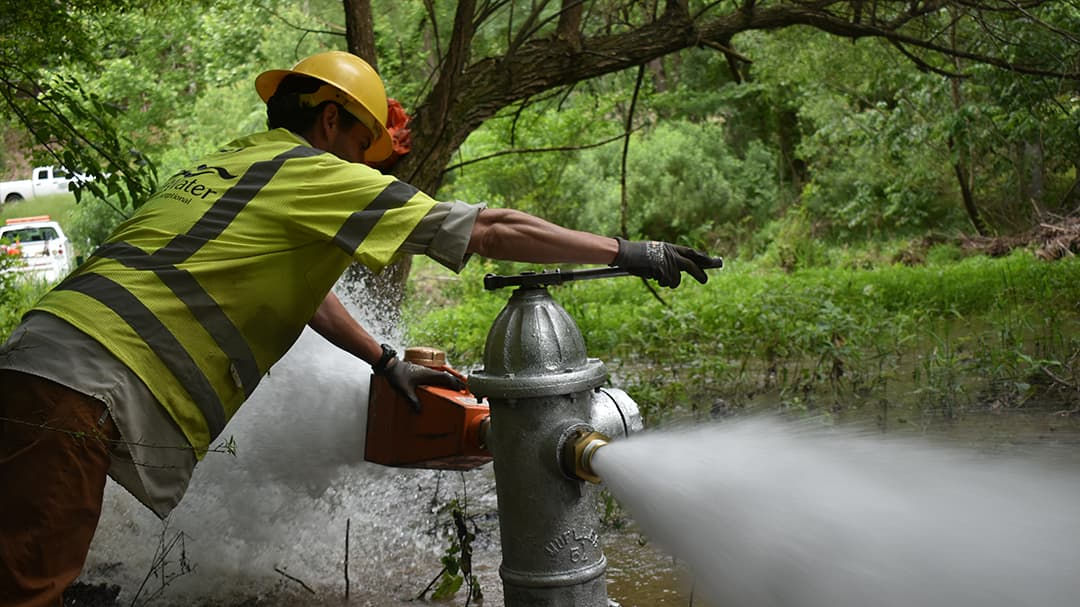 A worker wearing a yellow safety vest and helmet operates a fire hydrant in a lush, green forested setting. 