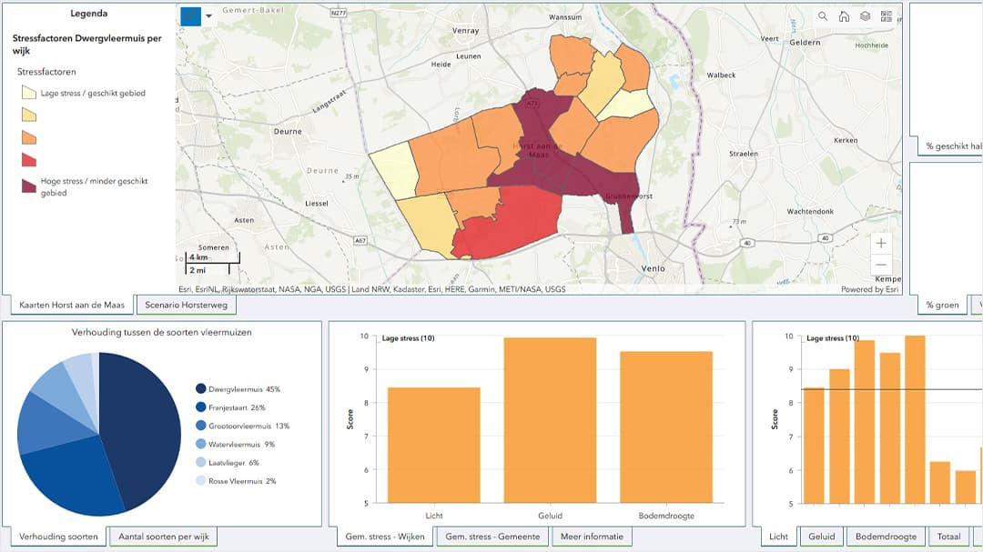 image of layered dashboard student created