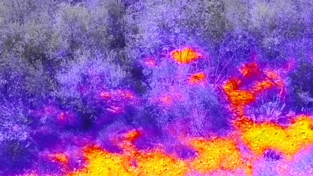 A thermal image pulled from an infrared camera used to obtain a proof of concept for the CubeSat project. A thermal image of a field in shades of purple, red, and orange