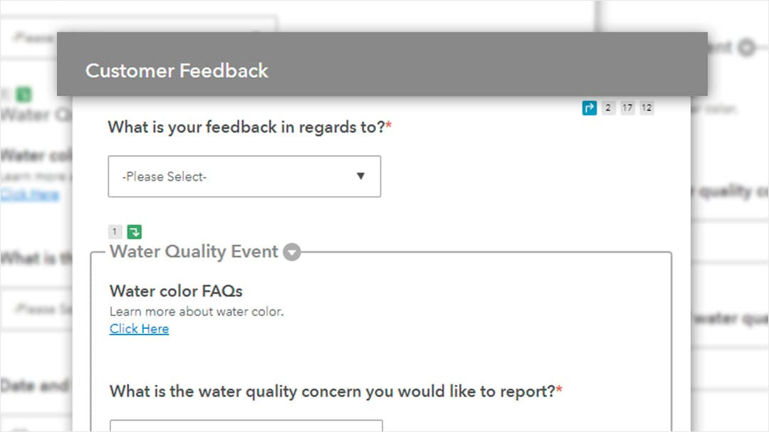 A digital form interface for collecting customer feedback related to water quality events. 