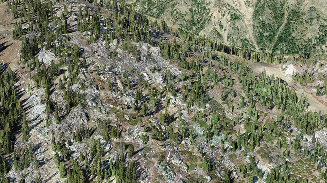 A scenic aerial view of a rugged mountain terrain covered with dense pine trees.
