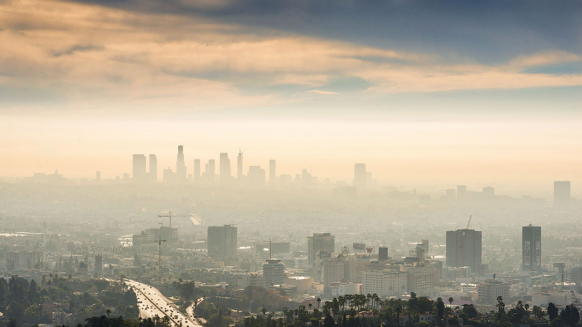 Migration from Carbon