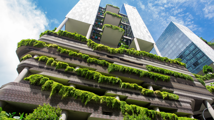 Enhancing Business Resilience through Environmental Stewardship and Climate Action